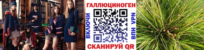 наркошоп  Комсомольск-на-Амуре  Псилоцибиновые грибы прущие грибы 
